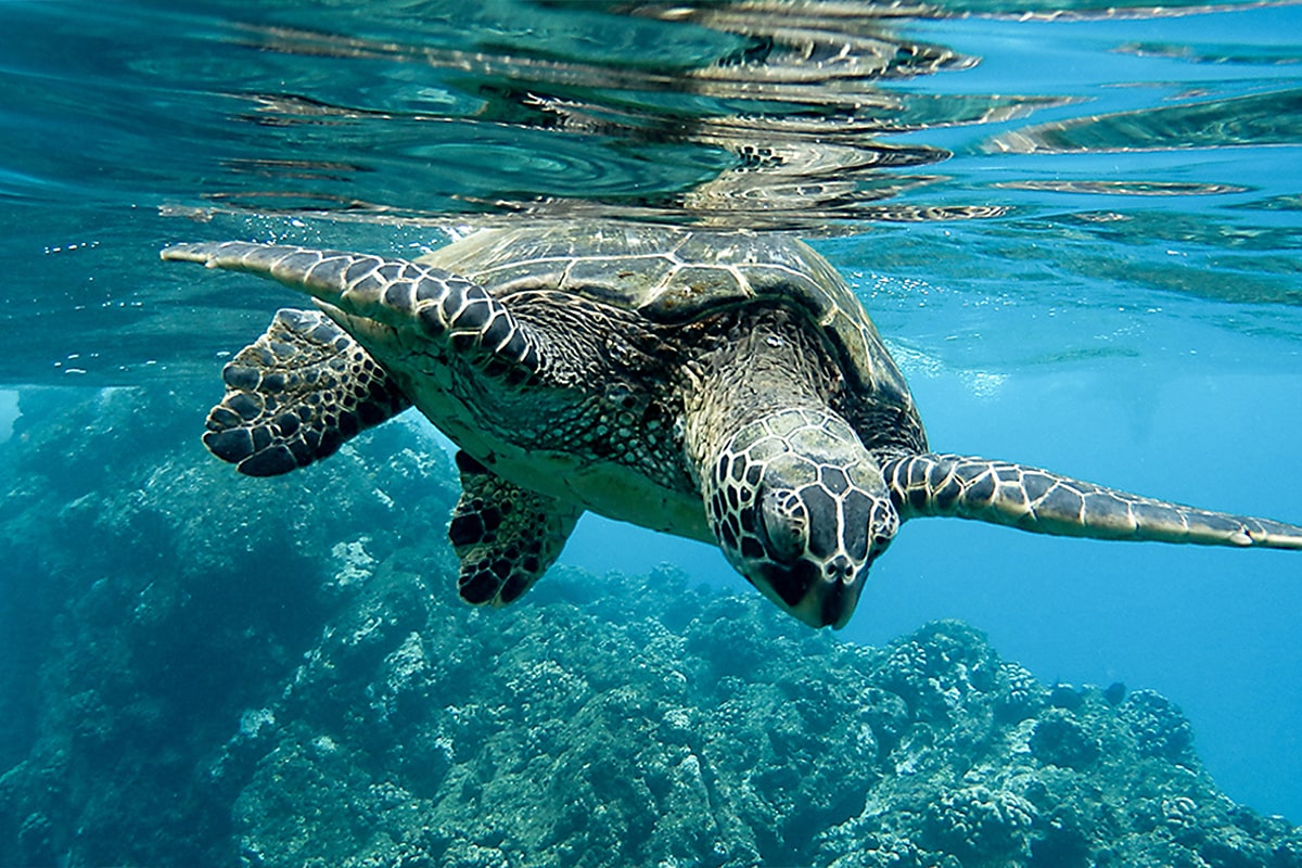 rottmann-ruether_friseur-muenster_artikel-engagement-hair-help-the-oceans